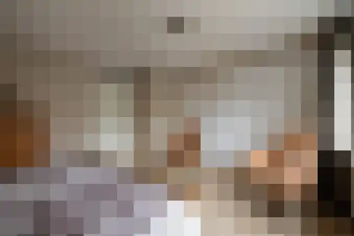 Gieteling 40 Raalte thumbnail 26