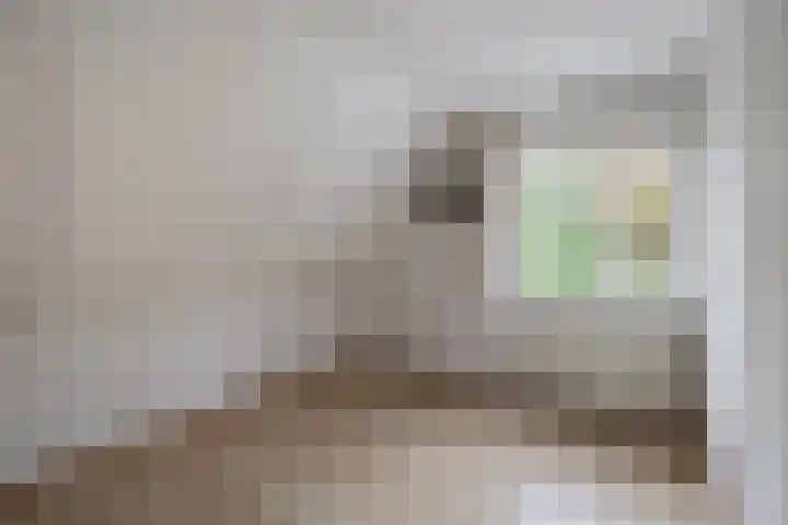 Gieteling 40 Raalte thumbnail 27