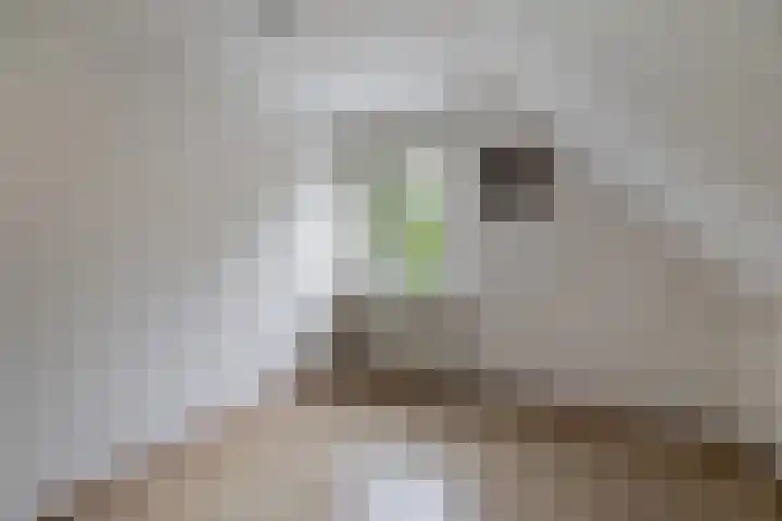 Gieteling 40 Raalte thumbnail 28