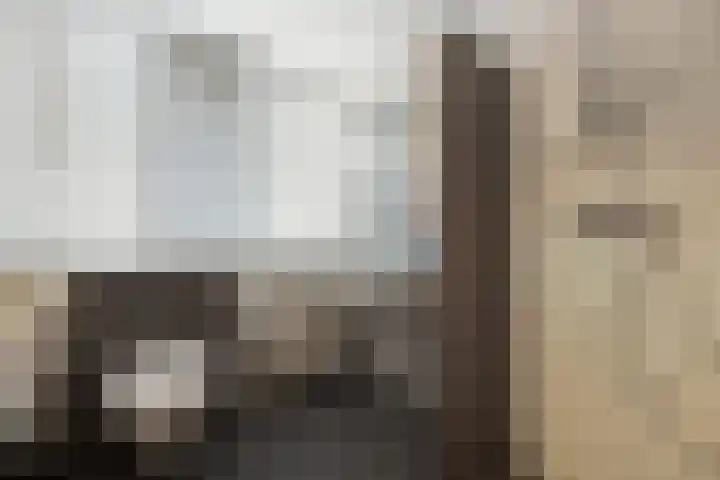 Gieteling 40 Raalte thumbnail 29