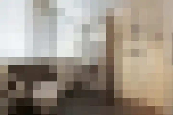 Gieteling 40 Raalte thumbnail 30