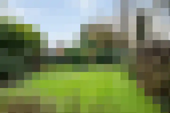 Gieteling 40 Raalte thumbnail 32