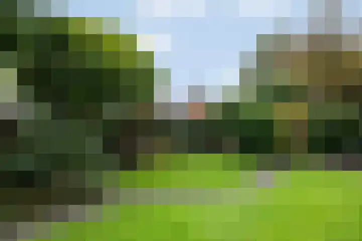 Gieteling 40 Raalte thumbnail 34
