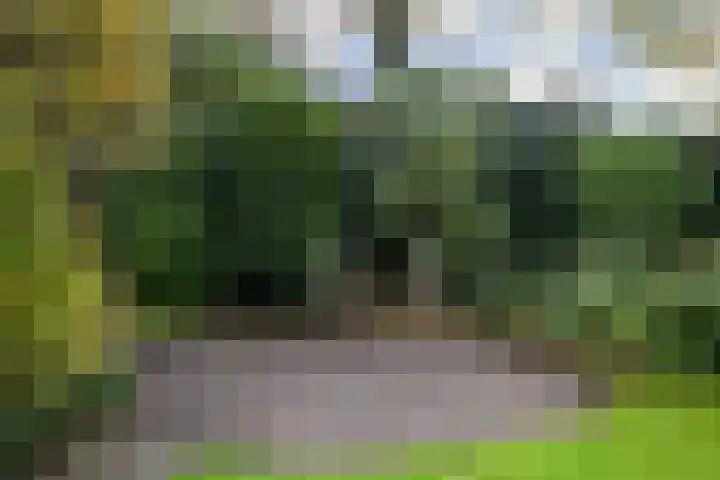 Gieteling 40 Raalte thumbnail 35