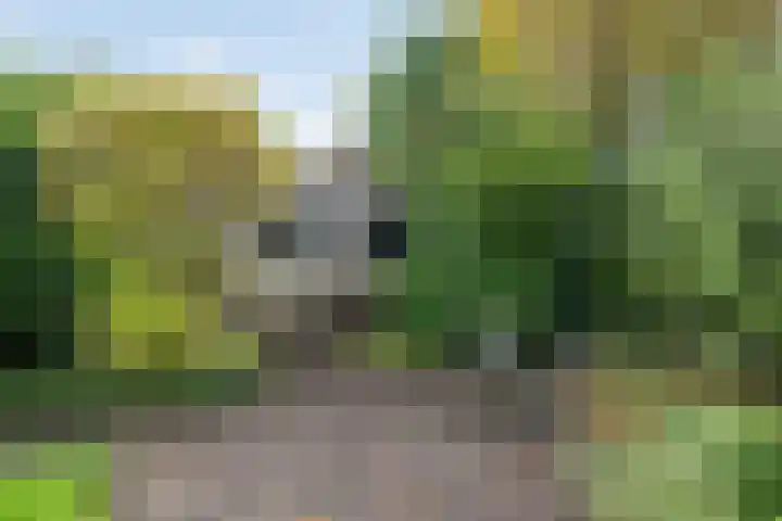 Gieteling 40 Raalte thumbnail 36