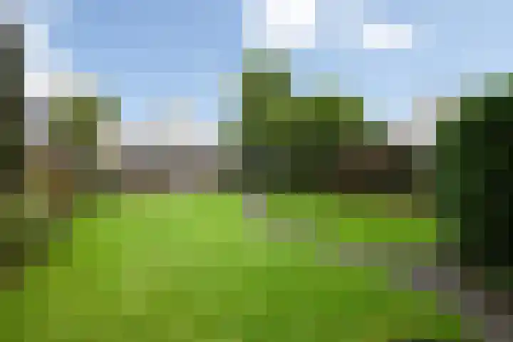 Gieteling 40 Raalte thumbnail 38