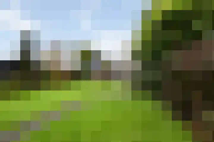 Gieteling 40 Raalte thumbnail 39