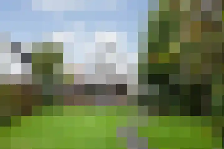 Gieteling 40 Raalte thumbnail 40