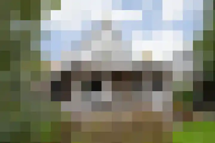 Gieteling 40 Raalte thumbnail 41