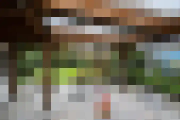 Gieteling 40 Raalte thumbnail 42