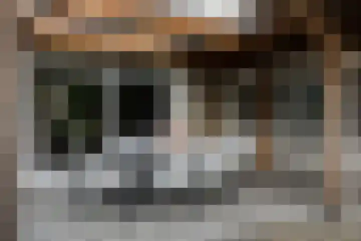 Gieteling 40 Raalte thumbnail 43