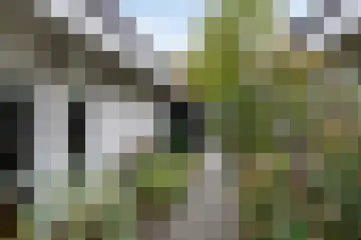 Gieteling 40 Raalte thumbnail 44