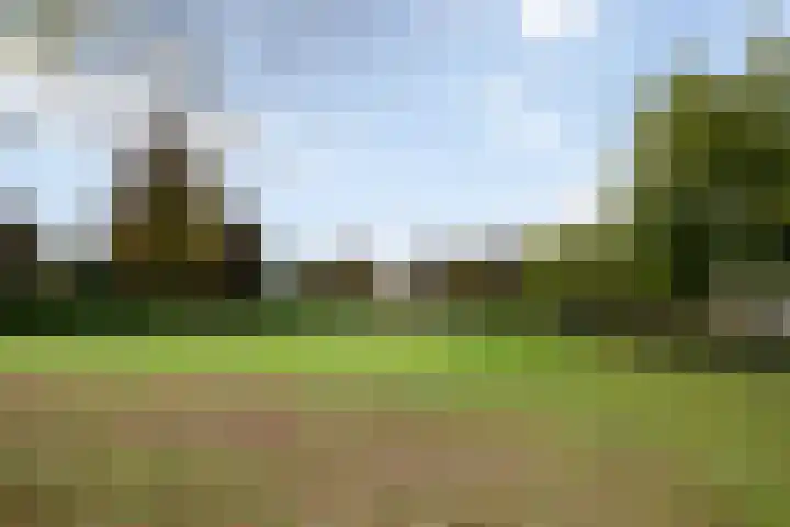 Gieteling 40 Raalte thumbnail 46