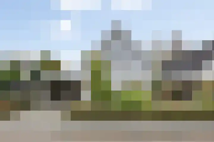 Gieteling 40 Raalte thumbnail 5