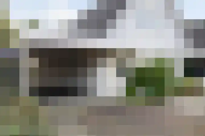 Gieteling 40 Raalte thumbnail 6