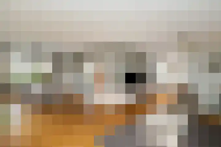 Gieteling 40 Raalte thumbnail 7