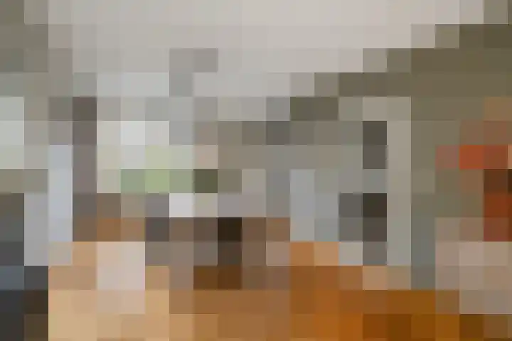 Gieteling 40 Raalte thumbnail 8