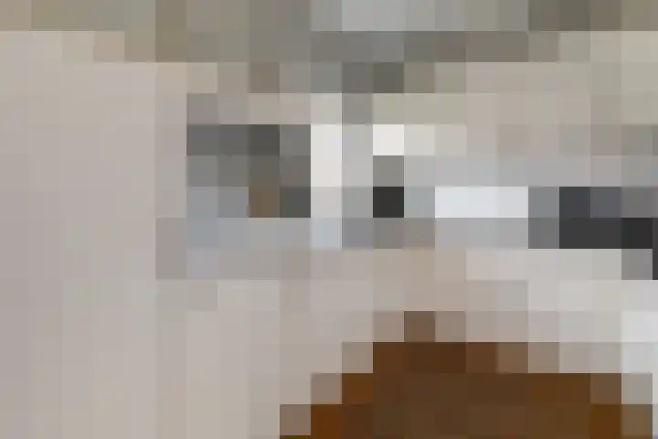 Gieteling 40 Raalte thumbnail 9