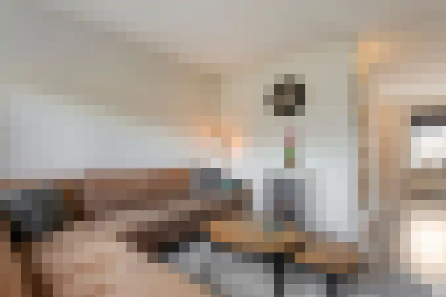 Gieteling 45 Raalte thumbnail 12