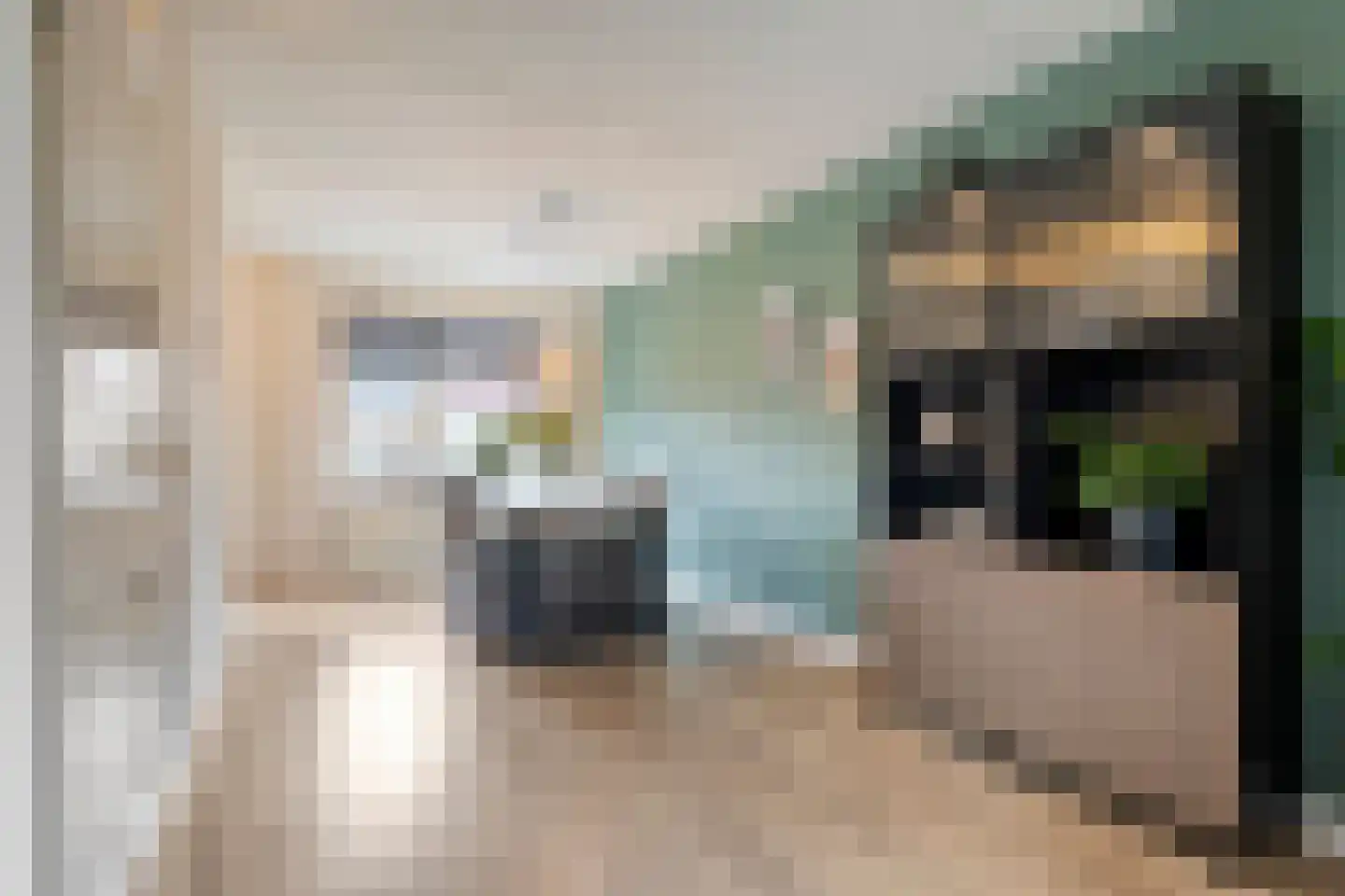 Gieteling 45 Raalte thumbnail 14