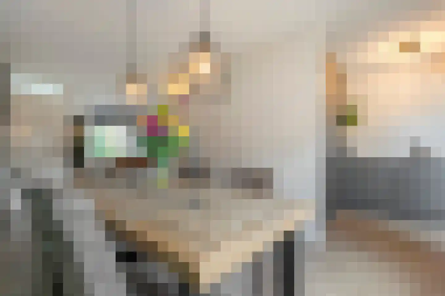 Gieteling 45 Raalte thumbnail 16