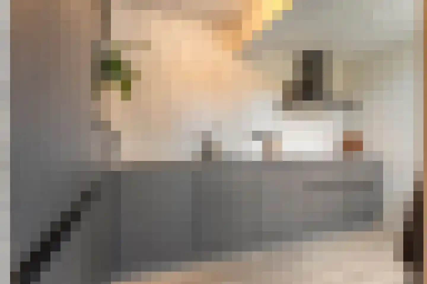 Gieteling 45 Raalte thumbnail 18