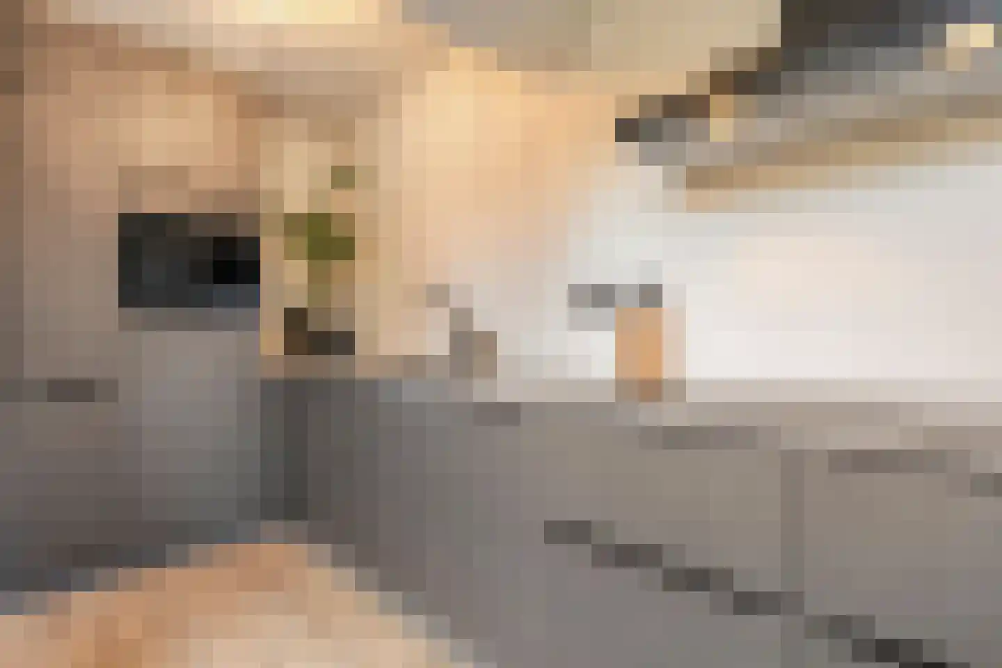Gieteling 45 Raalte thumbnail 19