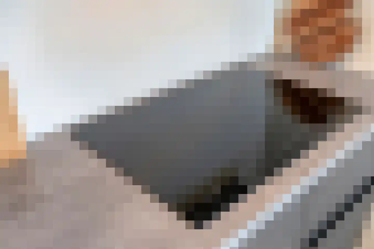 Gieteling 45 Raalte thumbnail 20