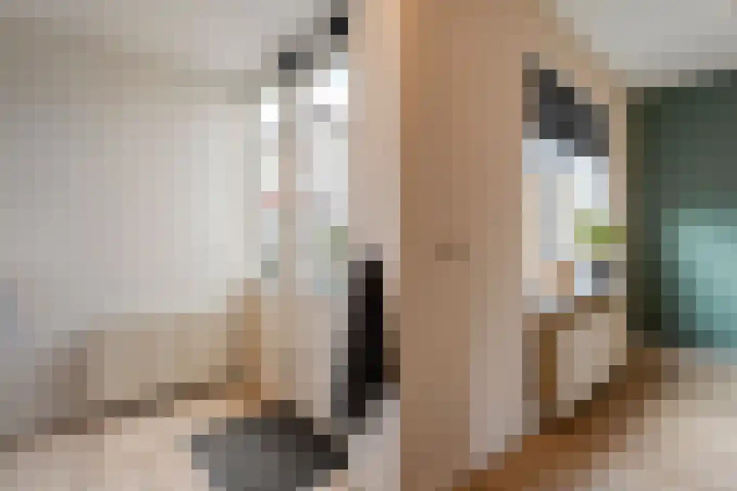 Gieteling 45 Raalte thumbnail 22