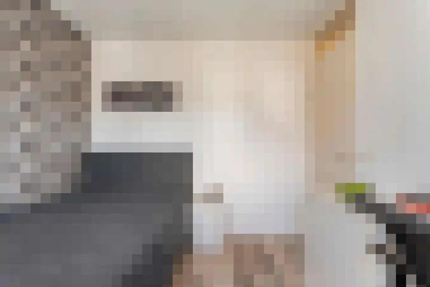 Gieteling 45 Raalte thumbnail 27