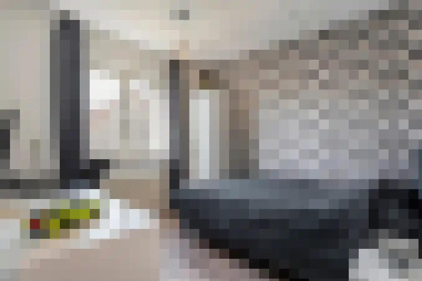 Gieteling 45 Raalte thumbnail 28
