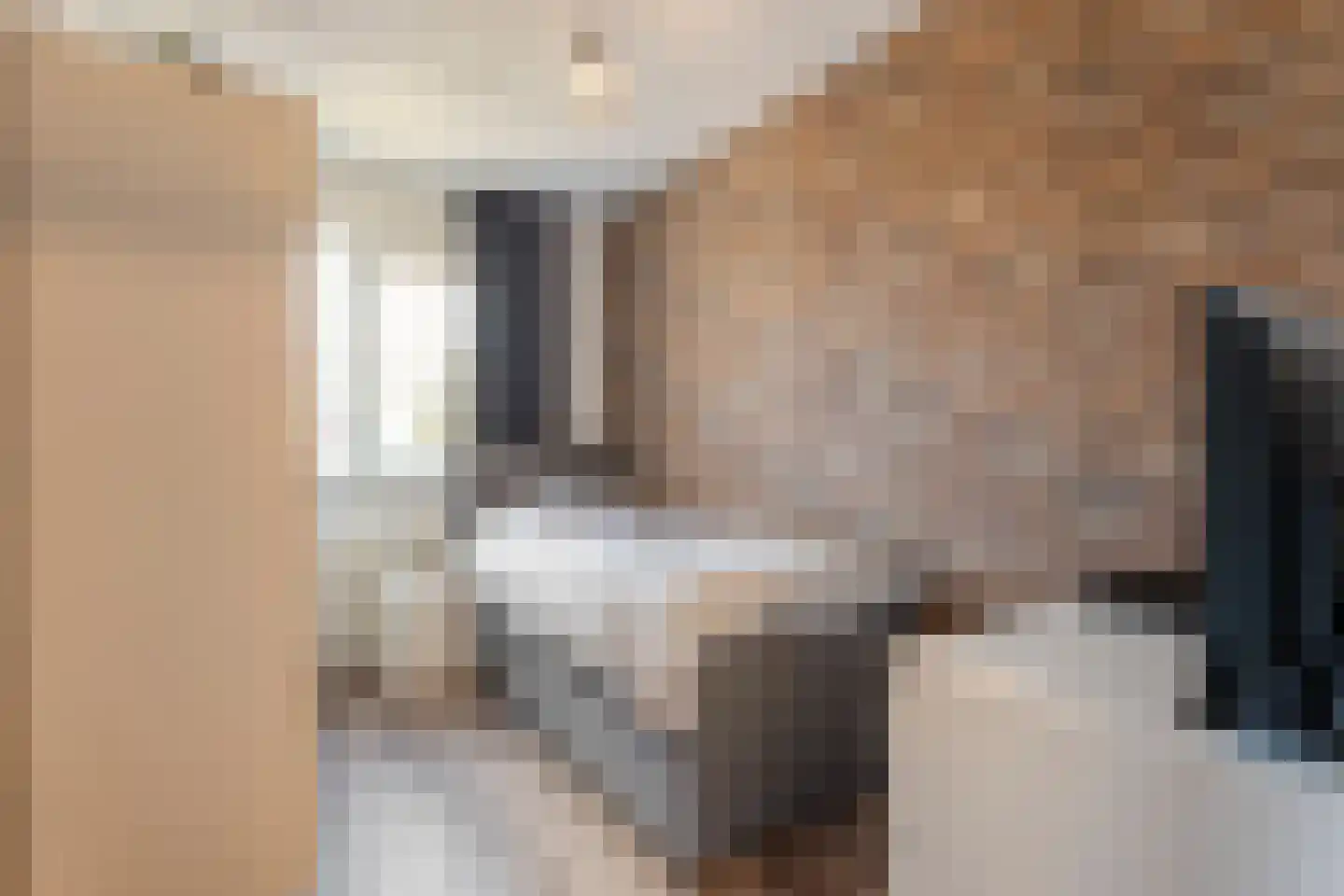Gieteling 45 Raalte thumbnail 29