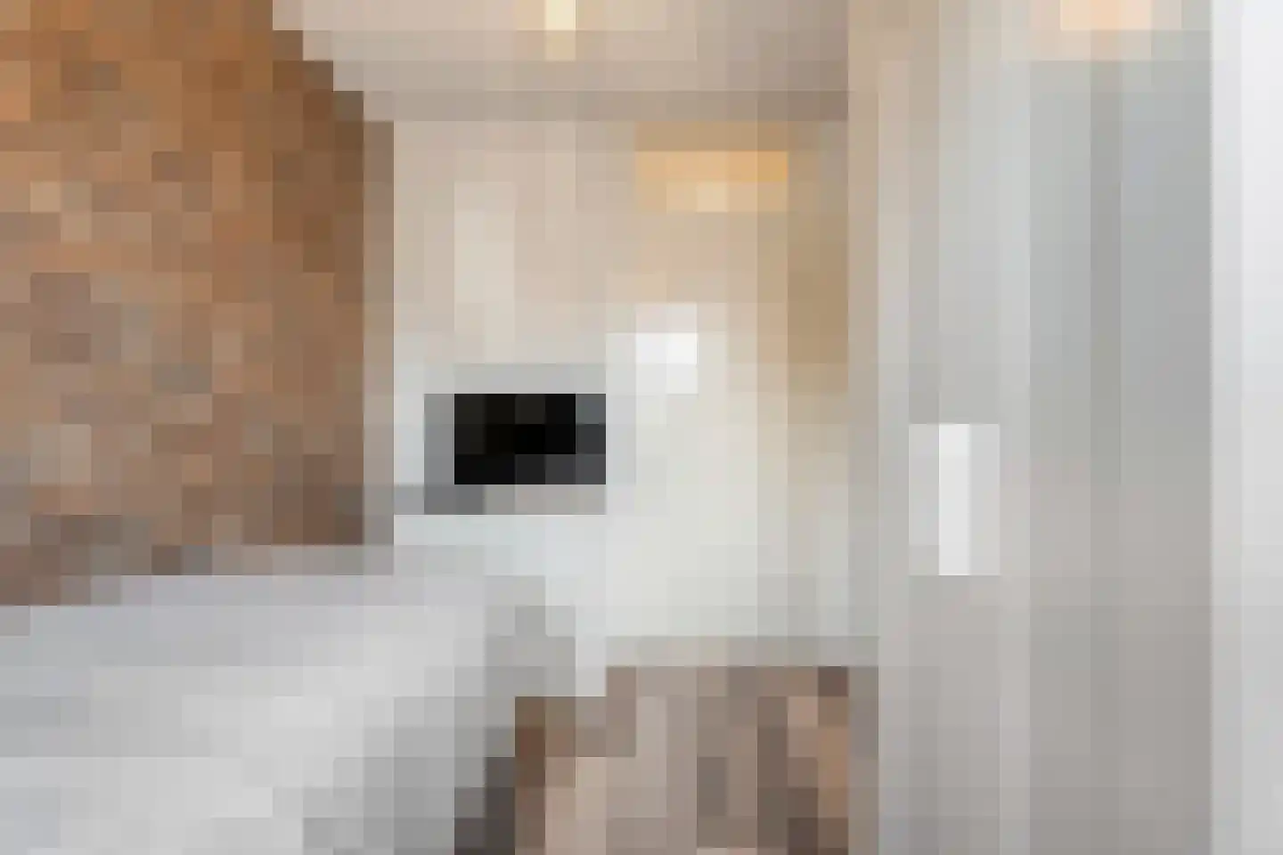Gieteling 45 Raalte thumbnail 30
