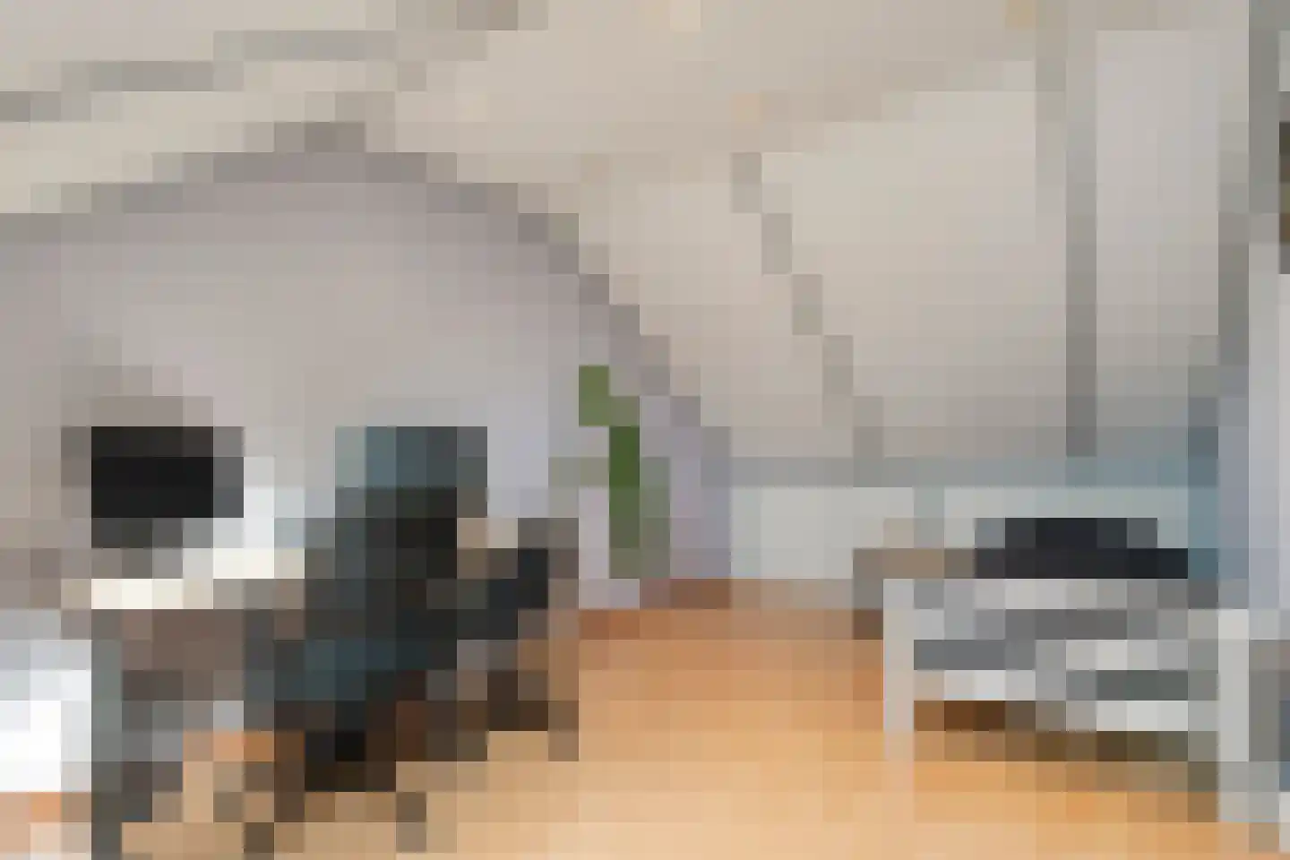 Gieteling 45 Raalte thumbnail 35