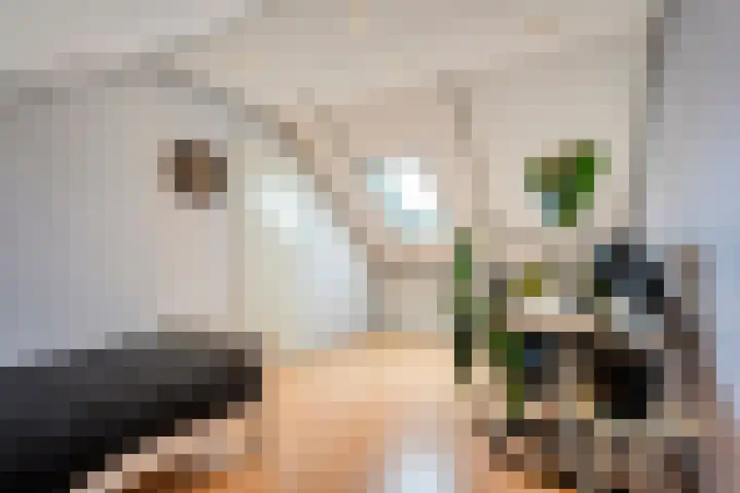Gieteling 45 Raalte thumbnail 36