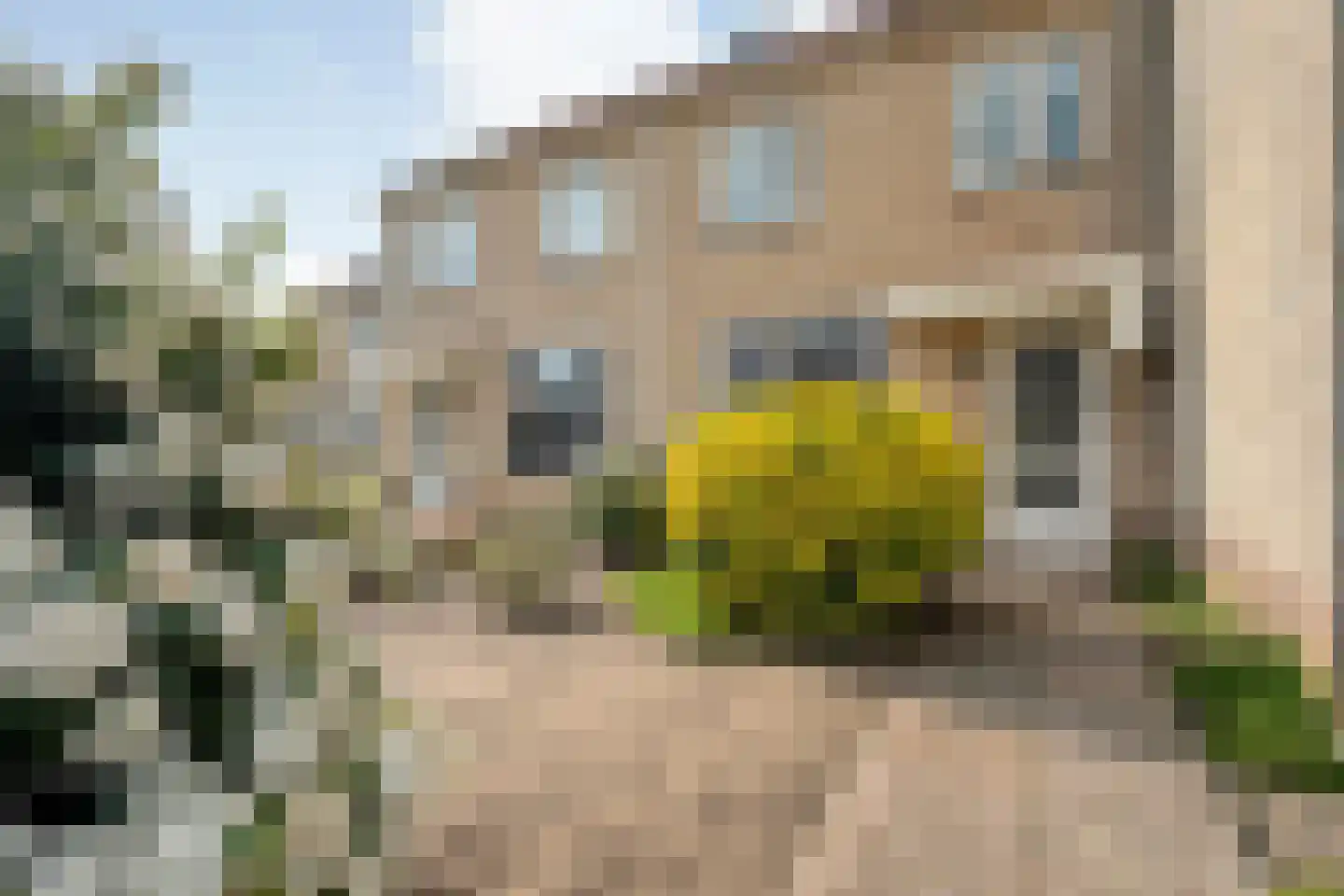 Gieteling 45 Raalte thumbnail 7