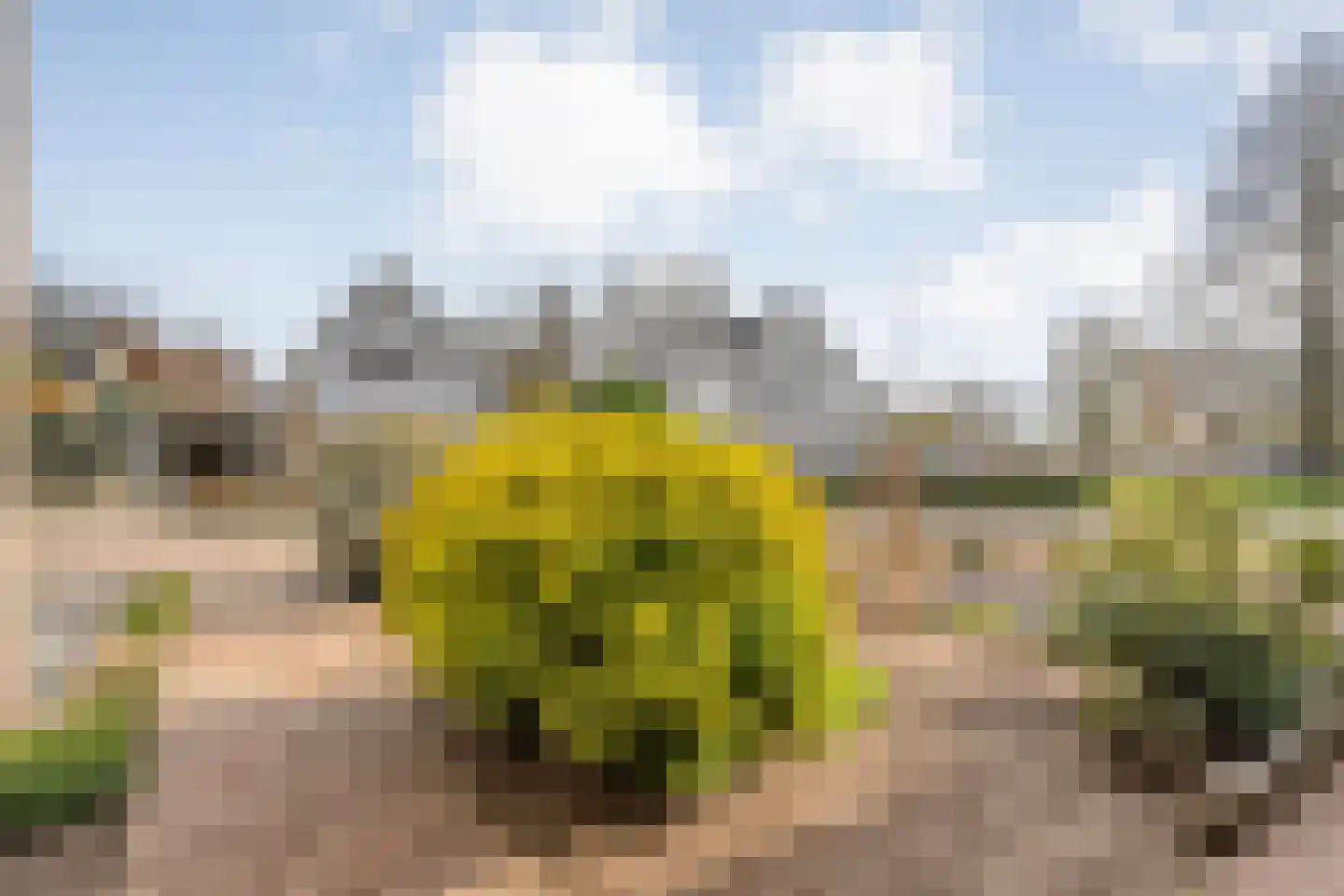 Gieteling 45 Raalte thumbnail 8