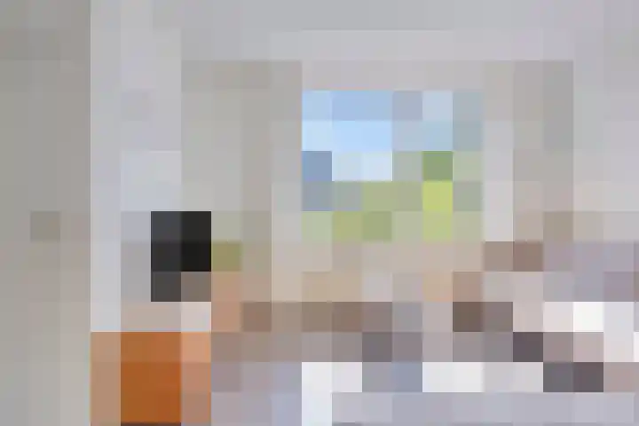 Gieteling 49 Raalte thumbnail 11
