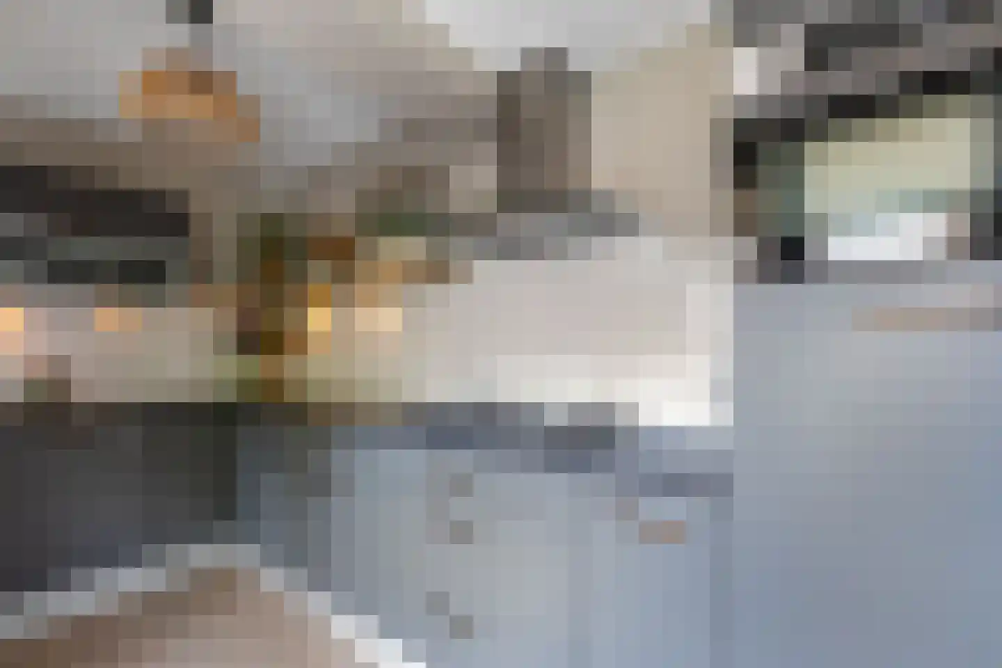 Gieteling 49 Raalte thumbnail 11