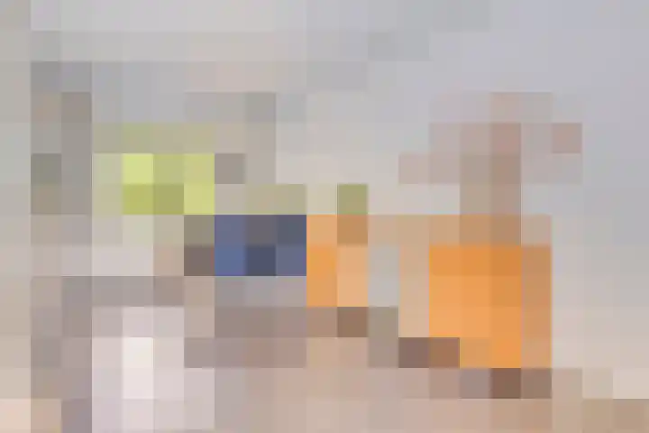 Gieteling 49 Raalte thumbnail 14