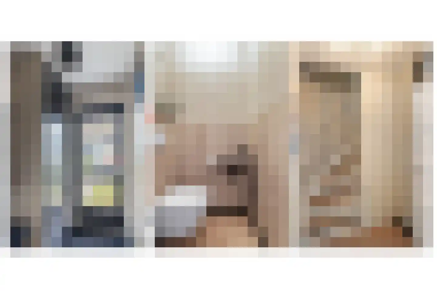 Gieteling 49 Raalte thumbnail 15