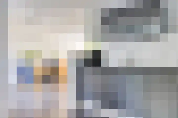 Gieteling 49 Raalte thumbnail 18