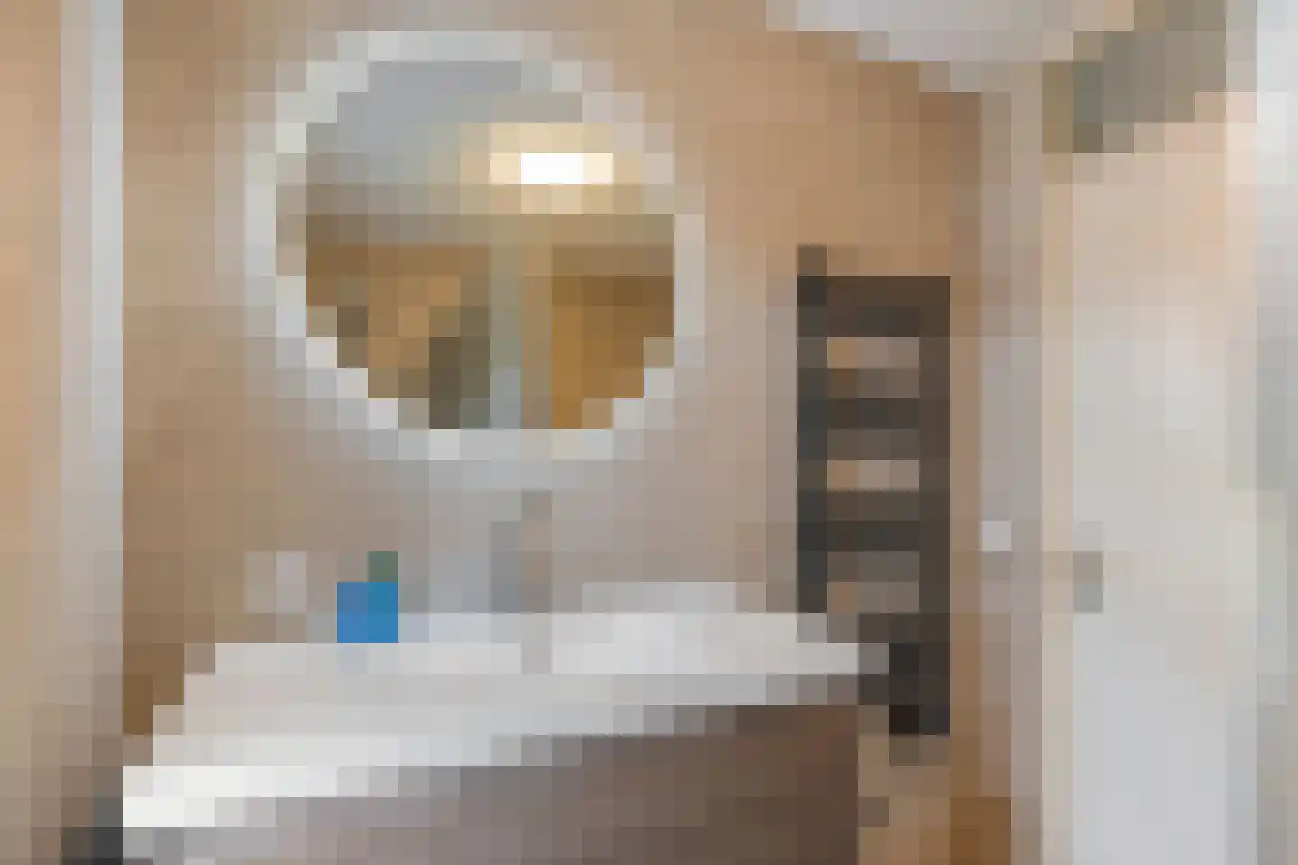 Gieteling 49 Raalte thumbnail 22