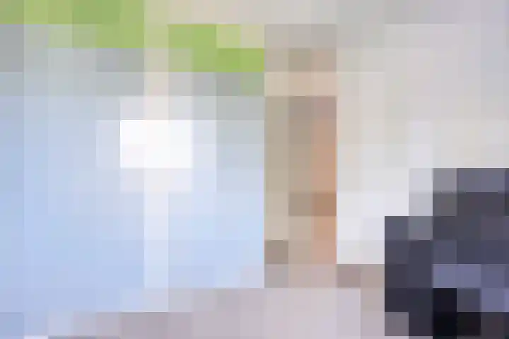 Gieteling 49 Raalte thumbnail 23