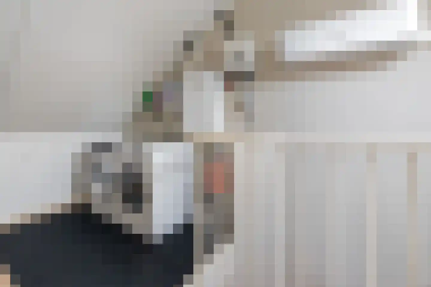 Gieteling 49 Raalte thumbnail 25