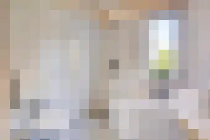 Gieteling 49 Raalte thumbnail 26
