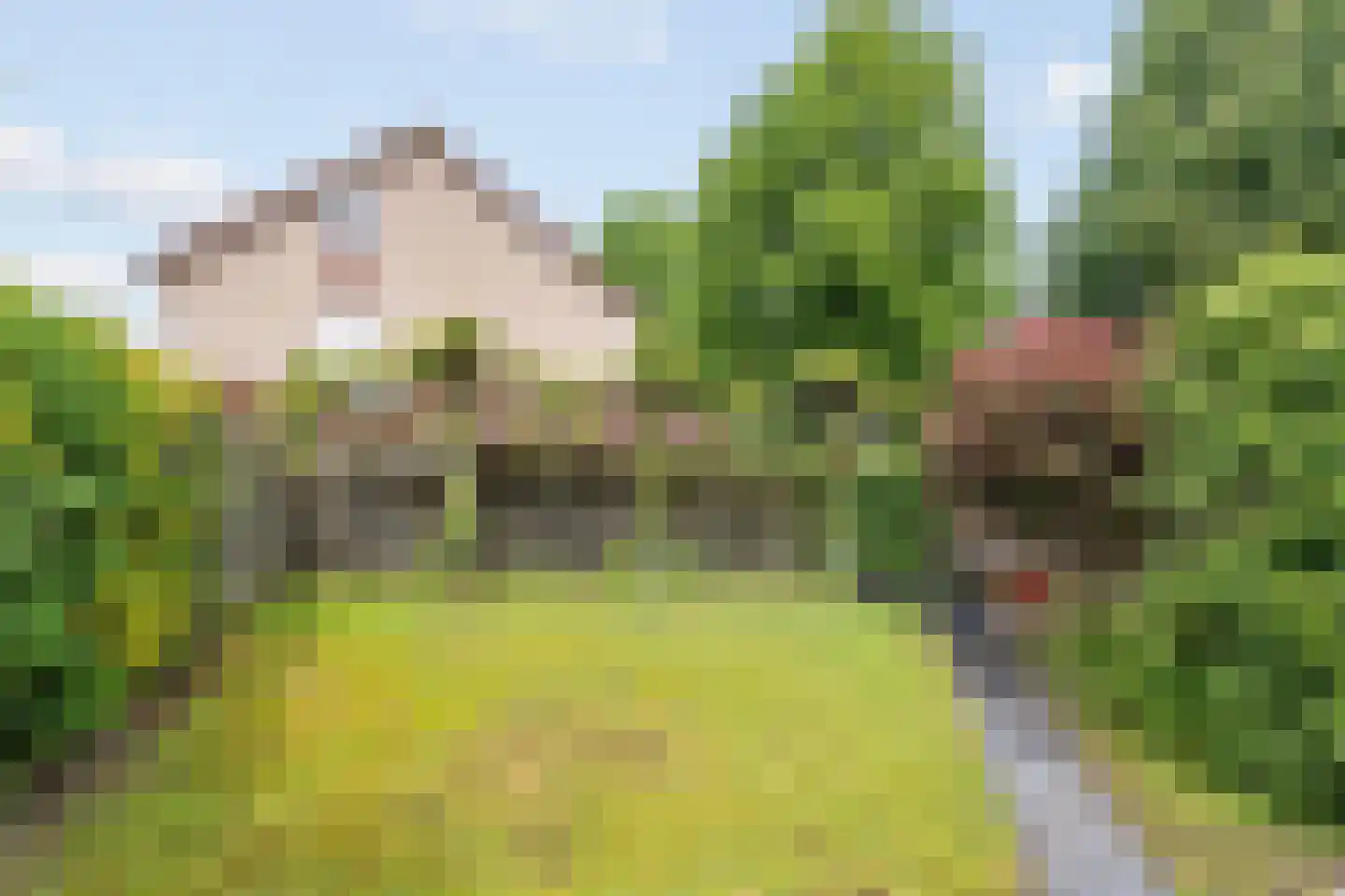 Gieteling 49 Raalte thumbnail 28