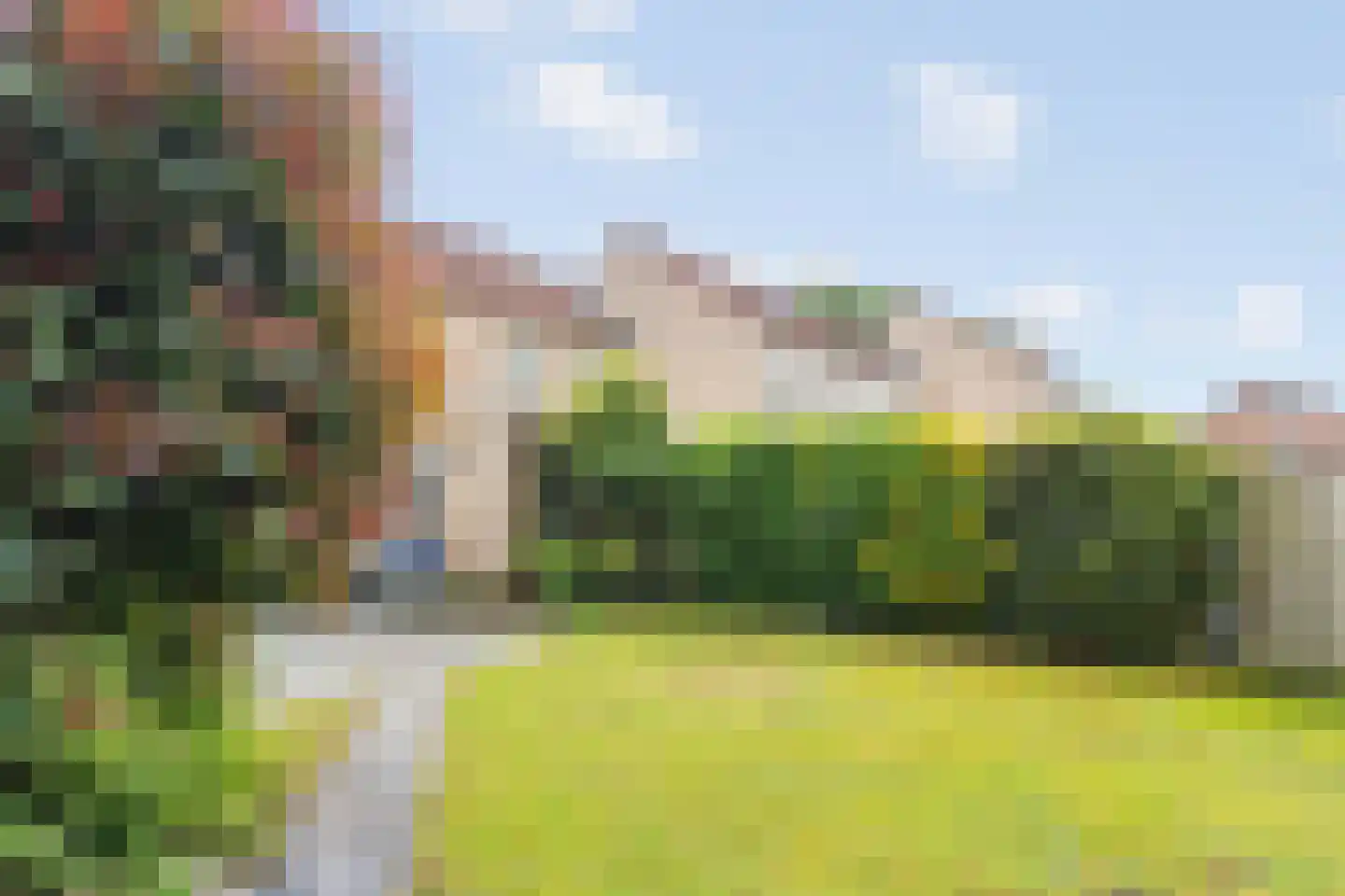 Gieteling 49 Raalte thumbnail 29