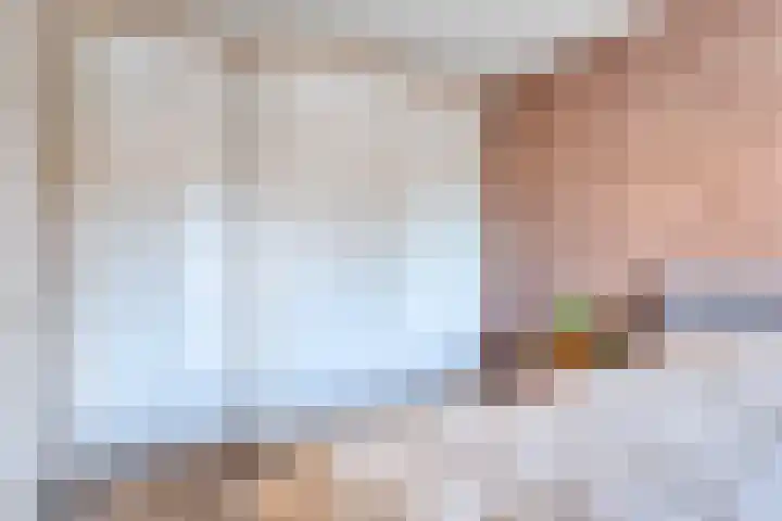 Gieteling 49 Raalte thumbnail 29