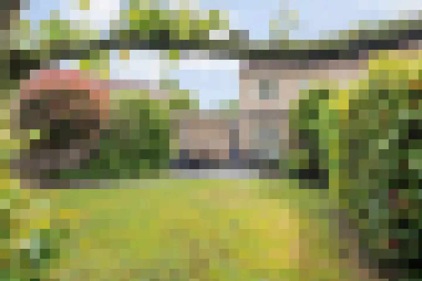 Gieteling 49 Raalte thumbnail 30